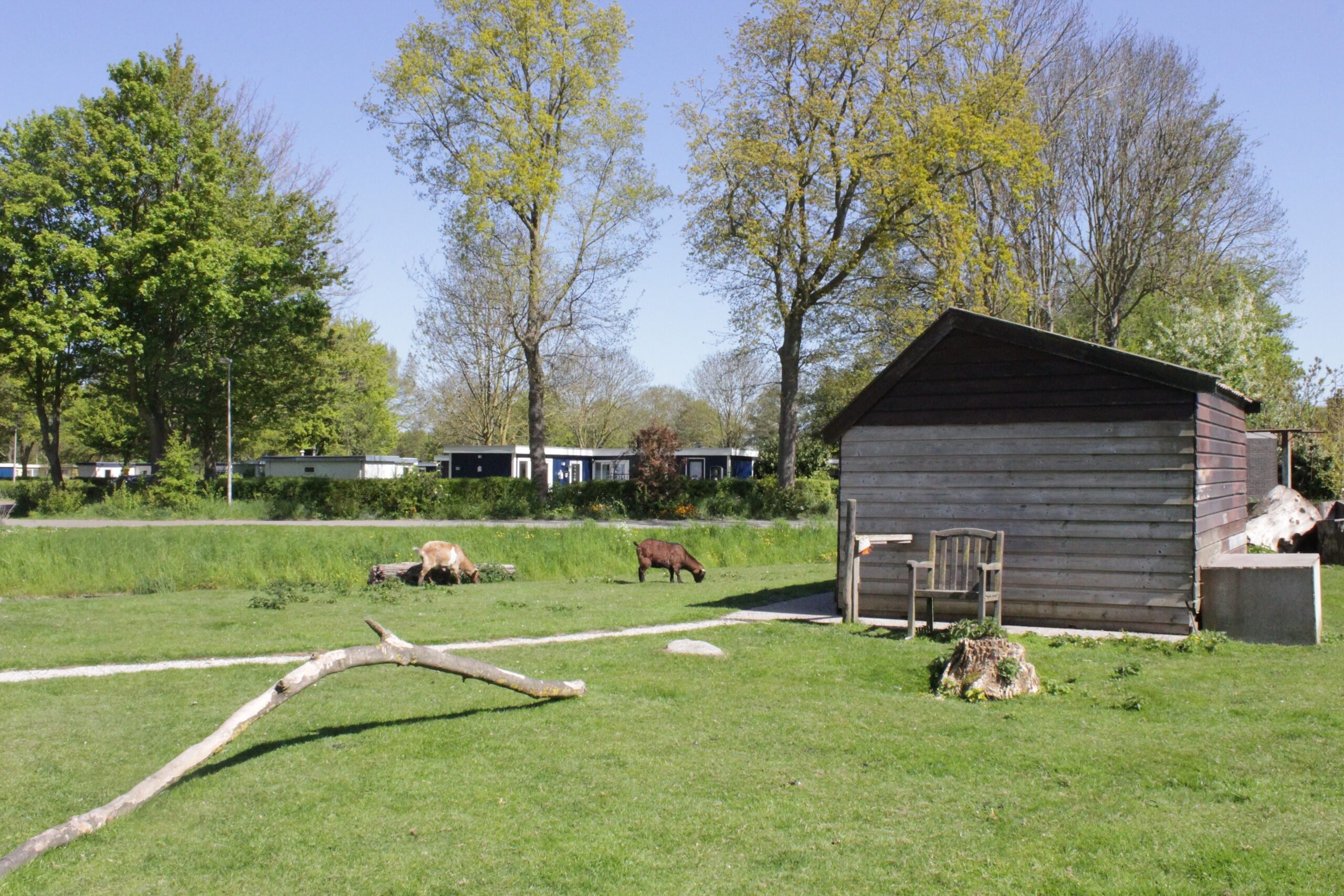 Dierenweide grootslag ijsselhof 2