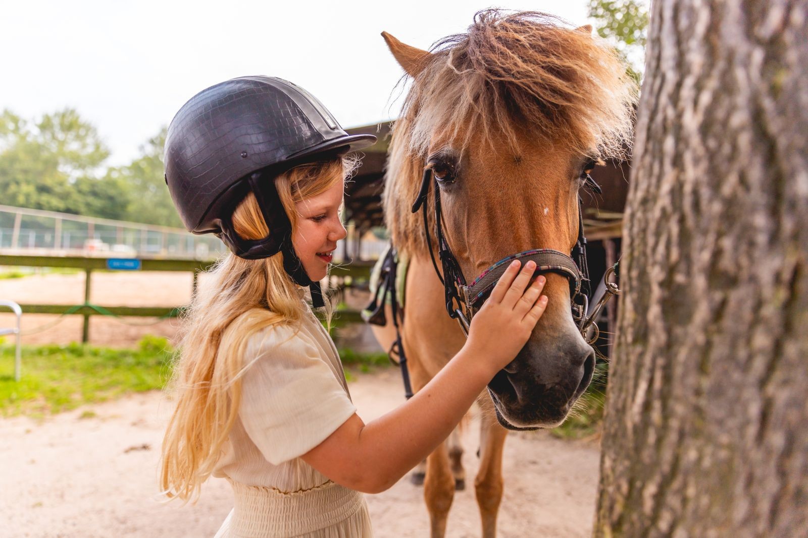 Ferienpark ijsselmeer mit ponys