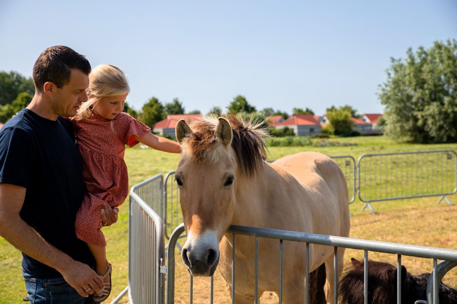 Medemblik kindervilla pony vakantie