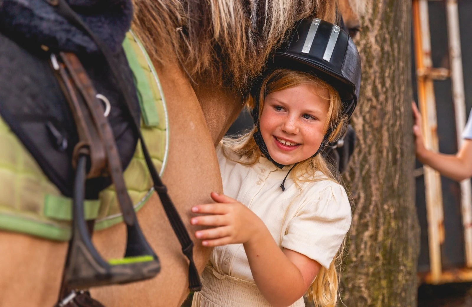 Ponyrijden noord holland