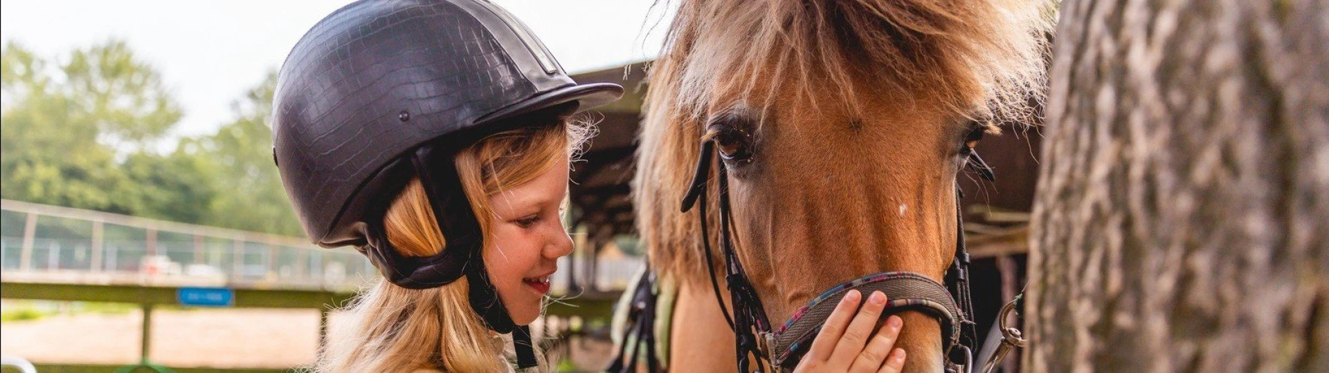 Ponyrijden villapark ijsselhof