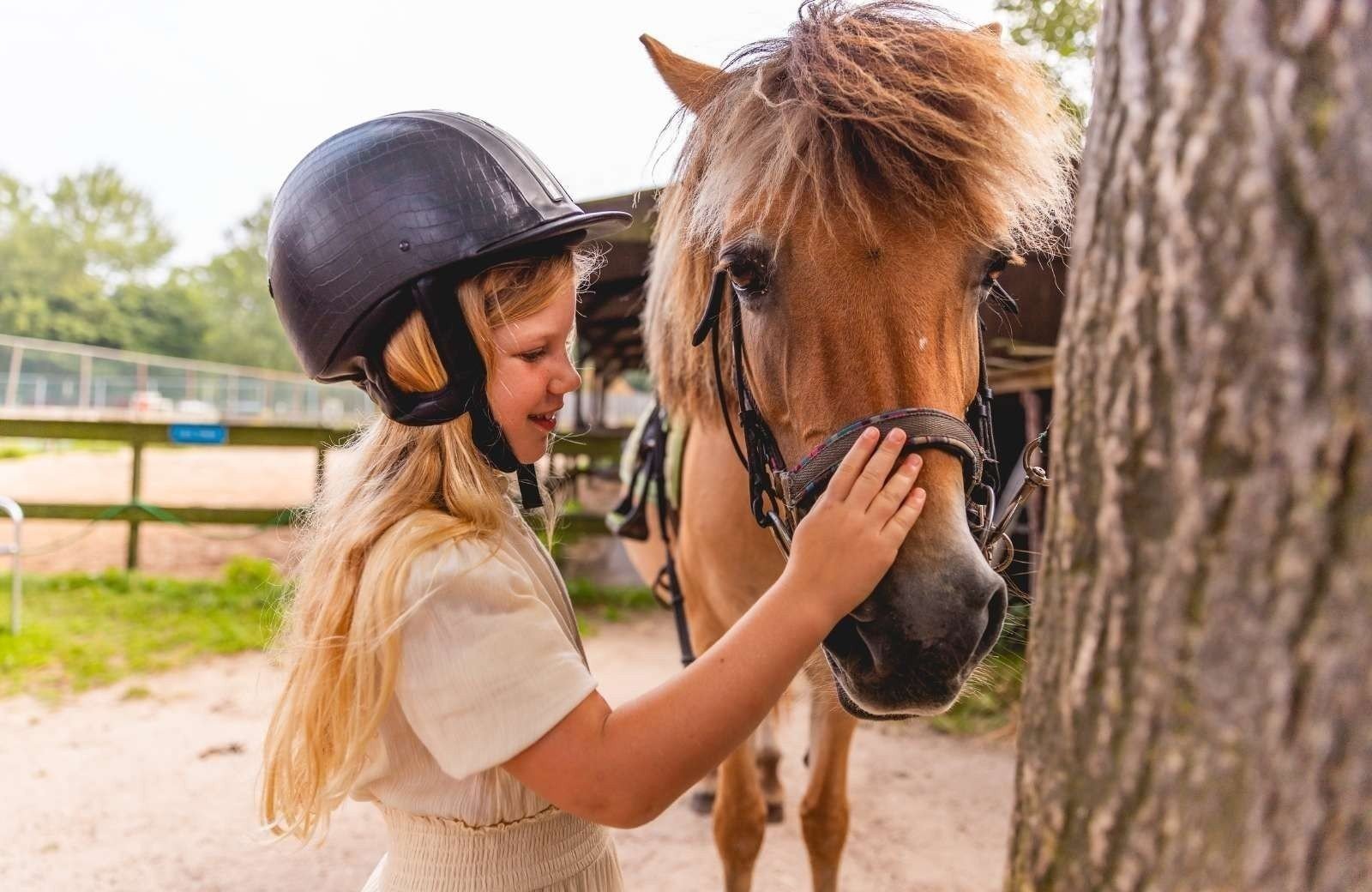 Ponyvakantie ijsselhof