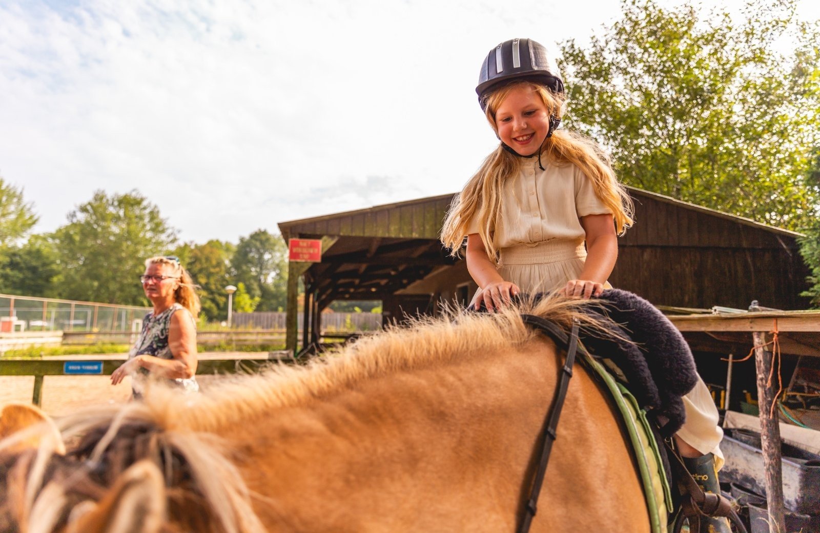 Ponyvakantie noord holland