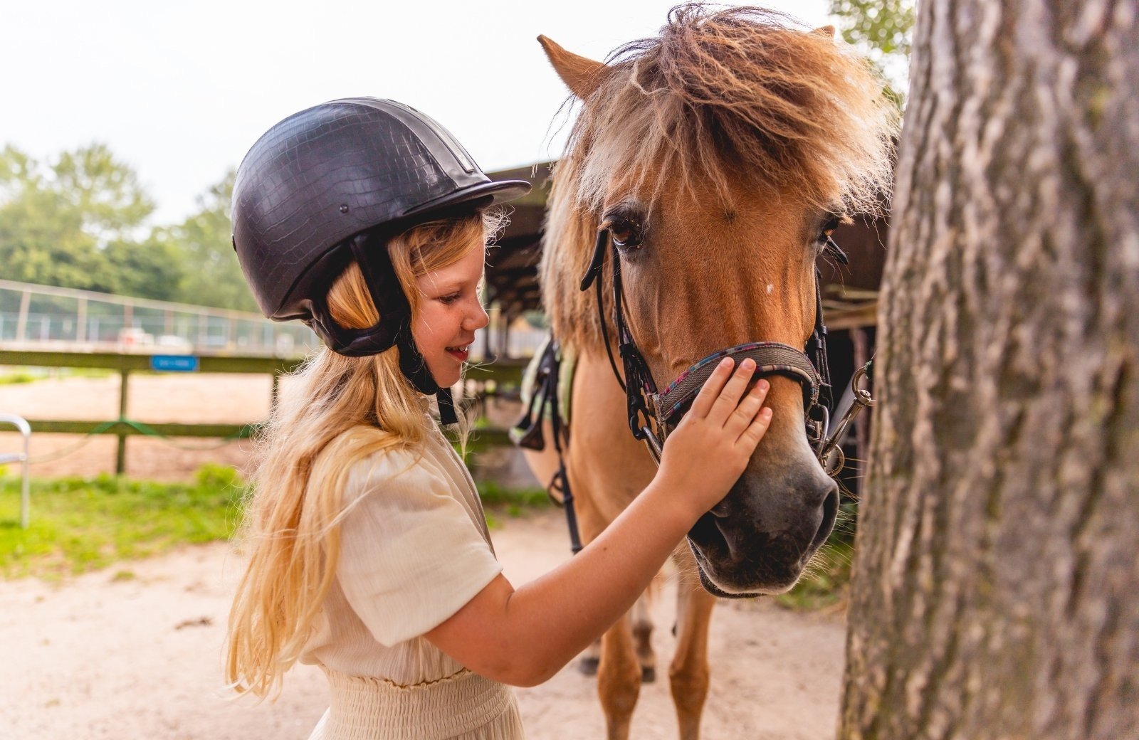 Vakantiepark met ponyranch