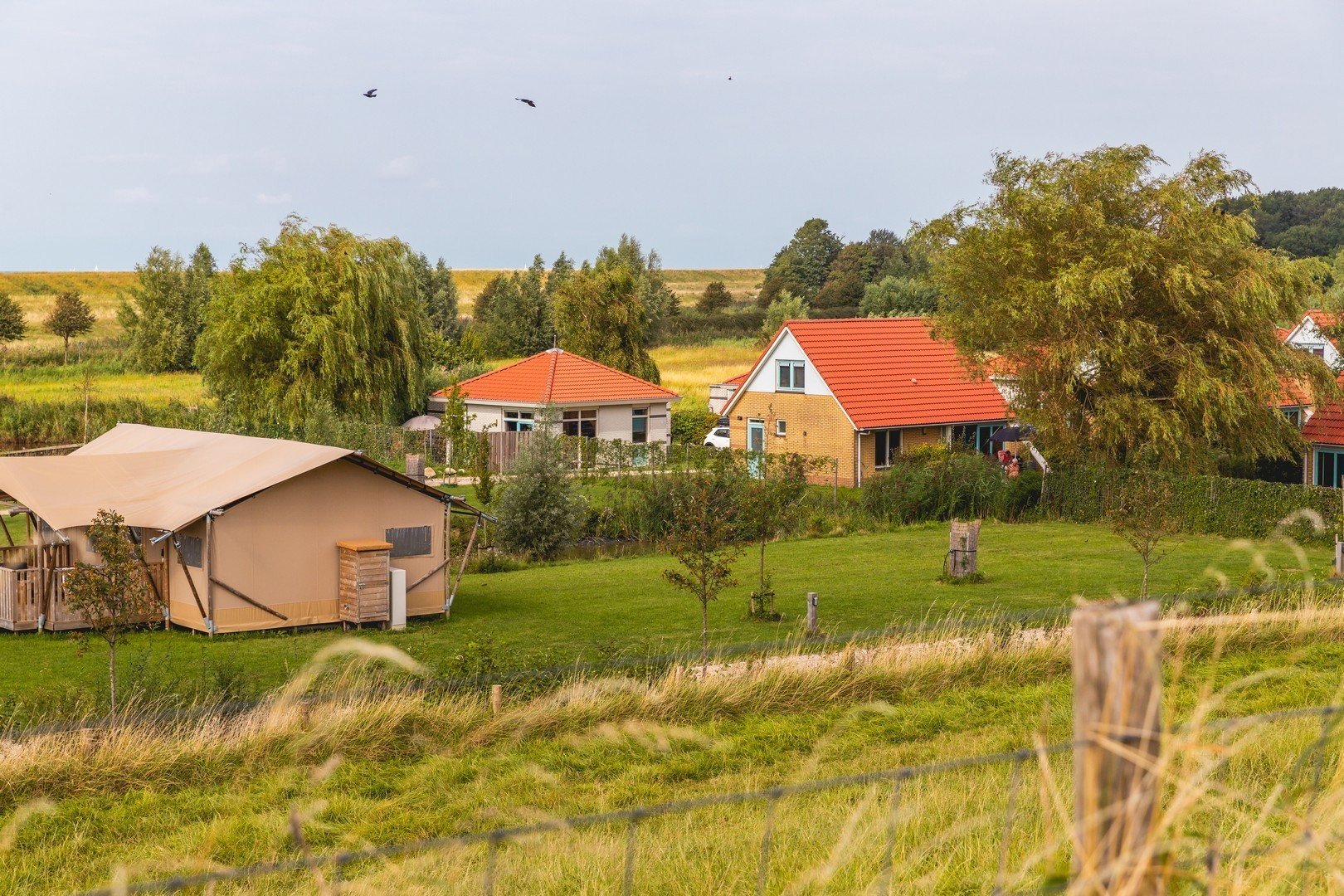 Villas en safaritenten villavakantiepark ijsselhof 675c3d10c96a9