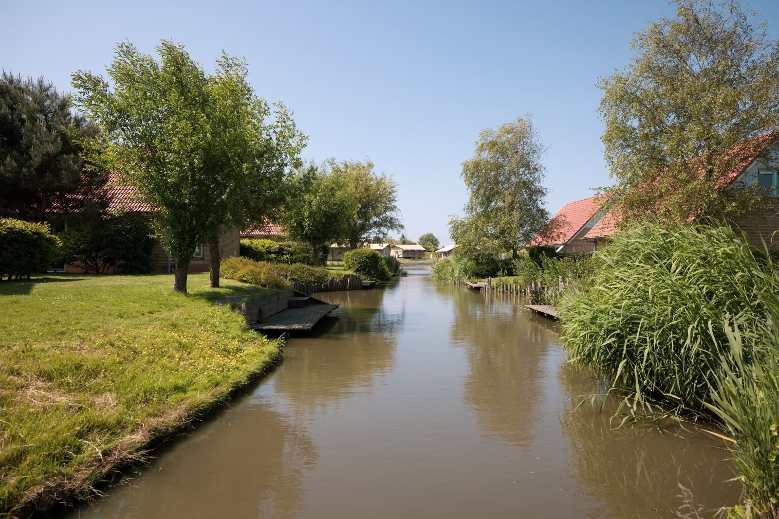 Vissen ijsselmeer water