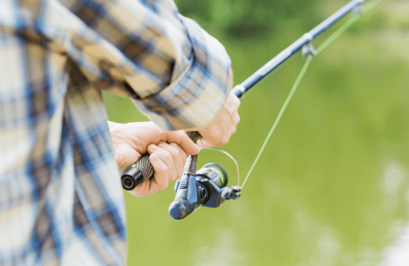 Prachtige vislocatie