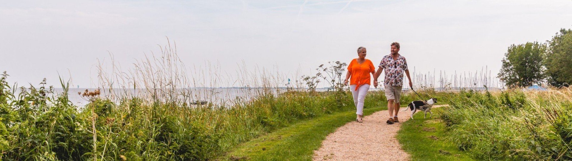 Wandelen met de hond villavakantiepark ijsselhof
